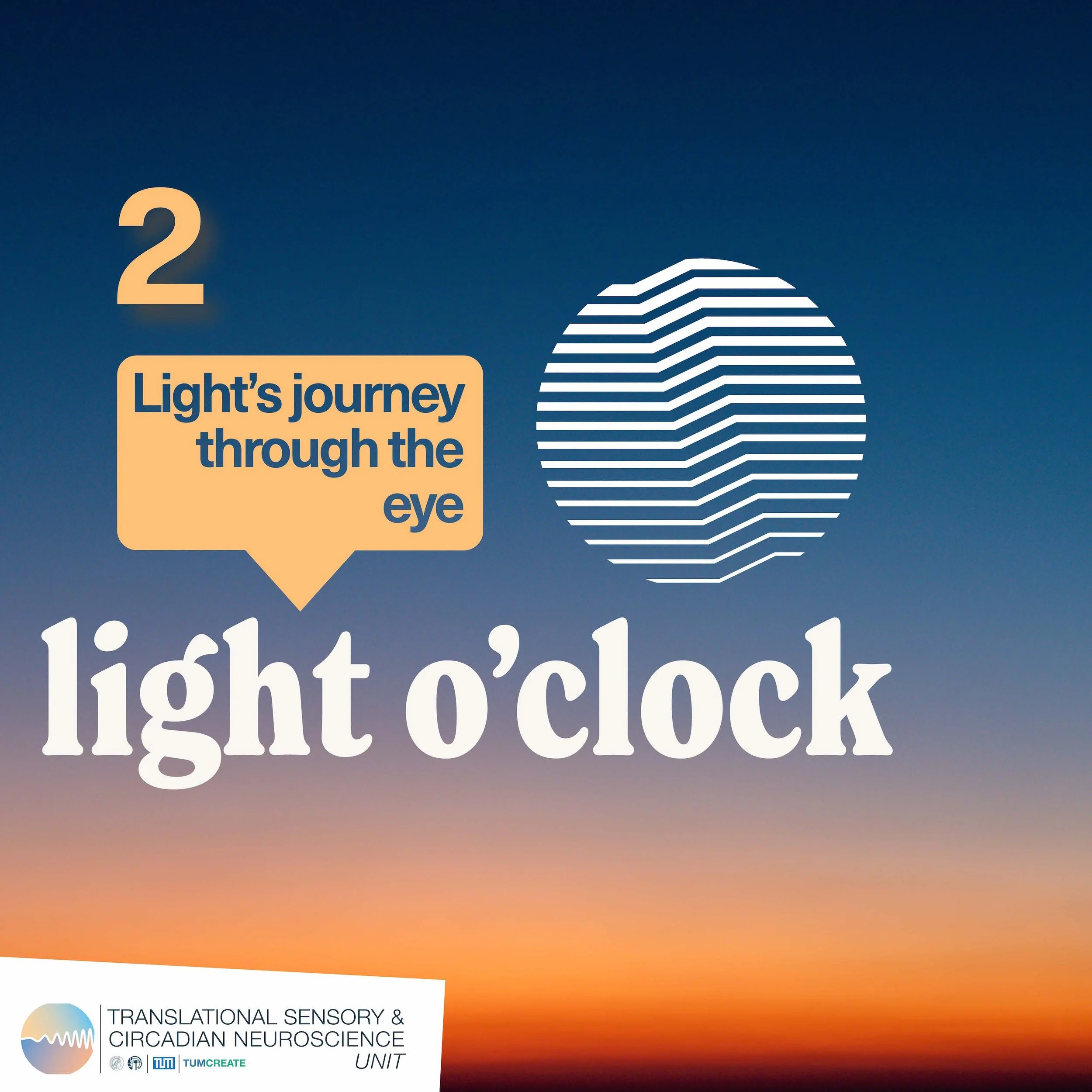 Episode 2: Light’s journey through the eye
